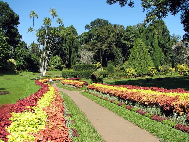 Royal Botanical Gardens, Peradeniya